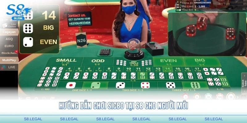 Hướng dẫn chơi Sicbo tại S8 cho người mới
